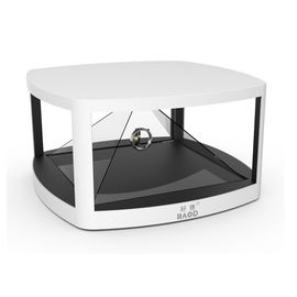 Màn hình ba chiều 3D Inch 40 inch Tất cả trong một đơn vị ba chiều độc lập 2GB AC110 - 240V